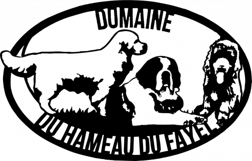DESCHARLES PATRICE