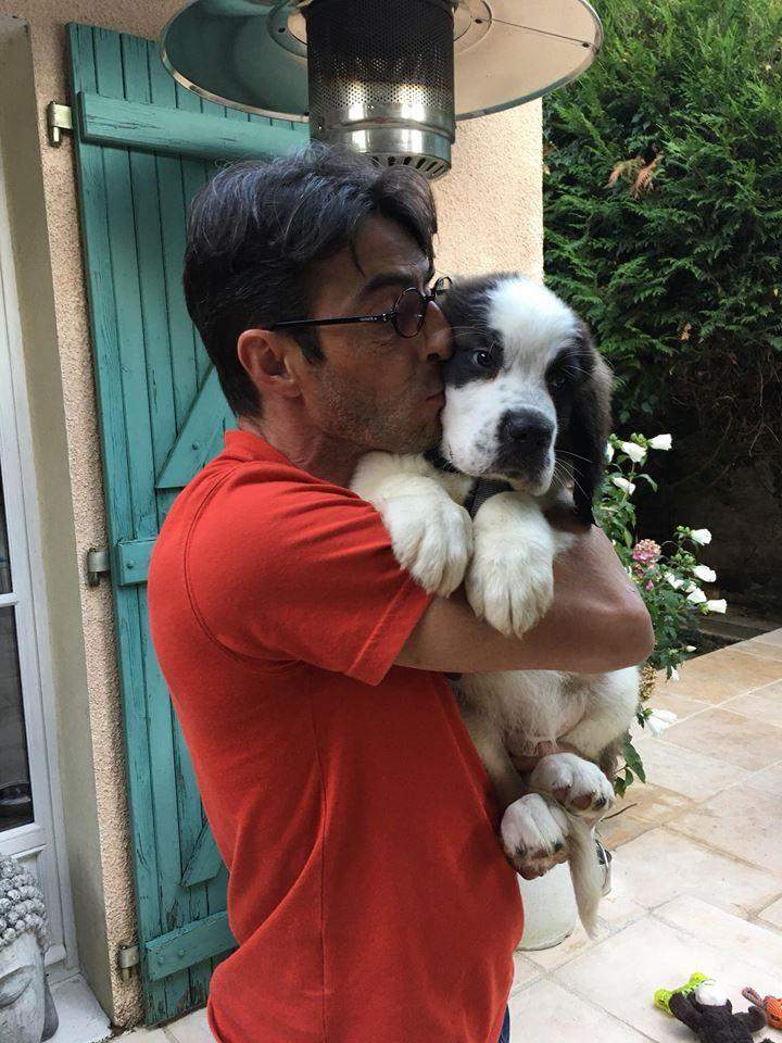 Centre spécialisé en chiens de race Étaples