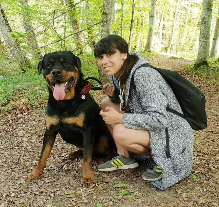 Chiens de race Étaples 