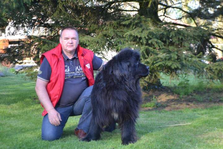 Éleveur de chiens Étaples