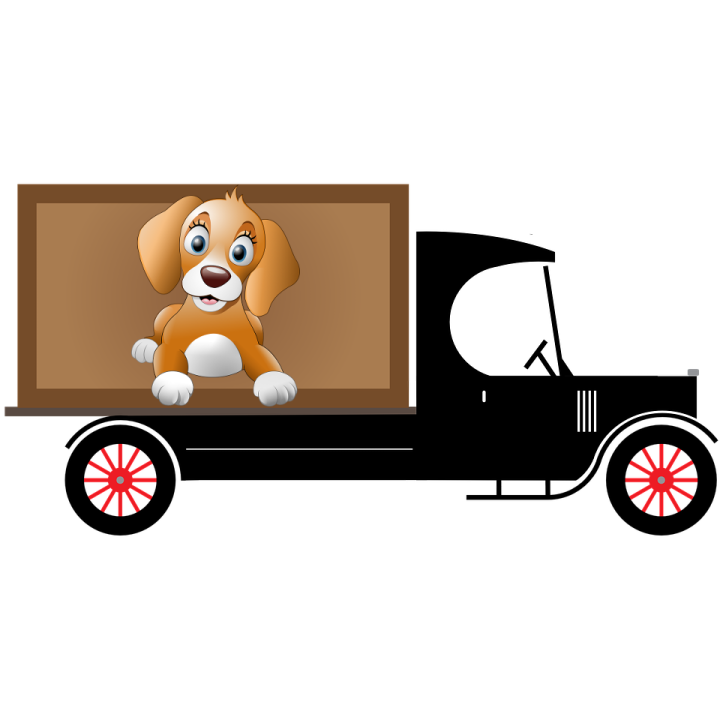 Chiots et chiens à adopter Étaples
